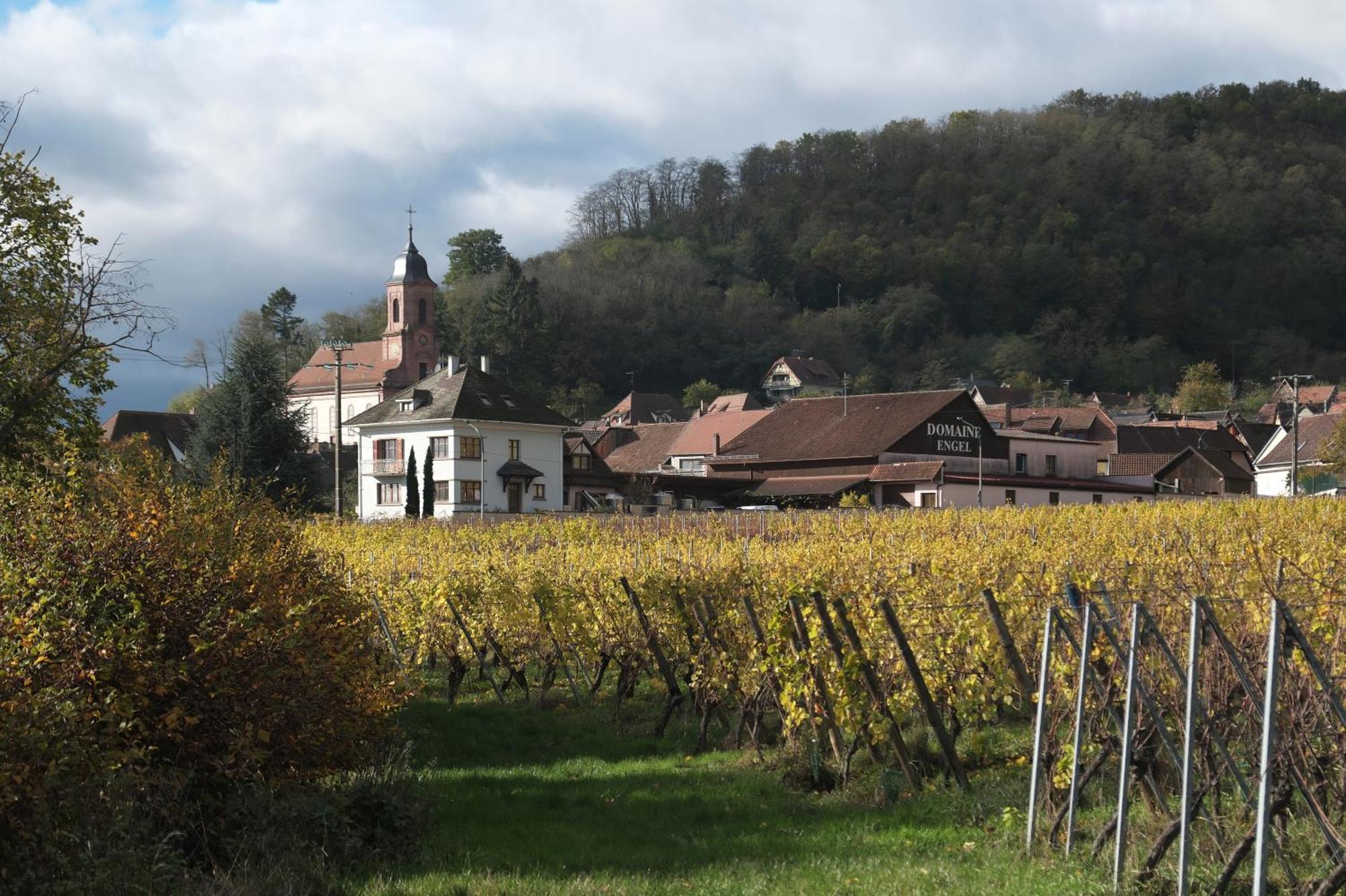 La Maison Des Vignerons Apartment *