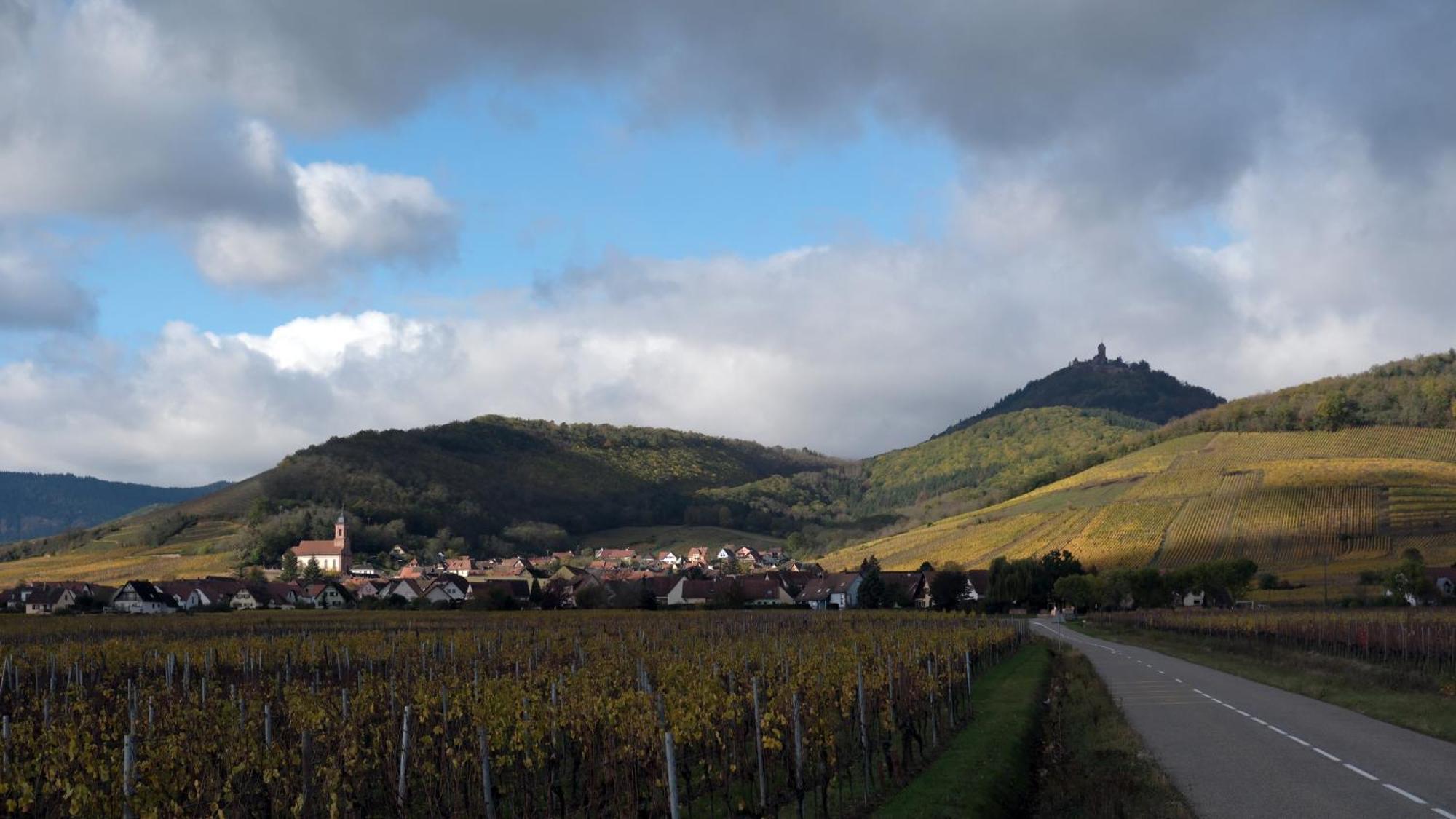 La Maison Des Vignerons Orschwiller